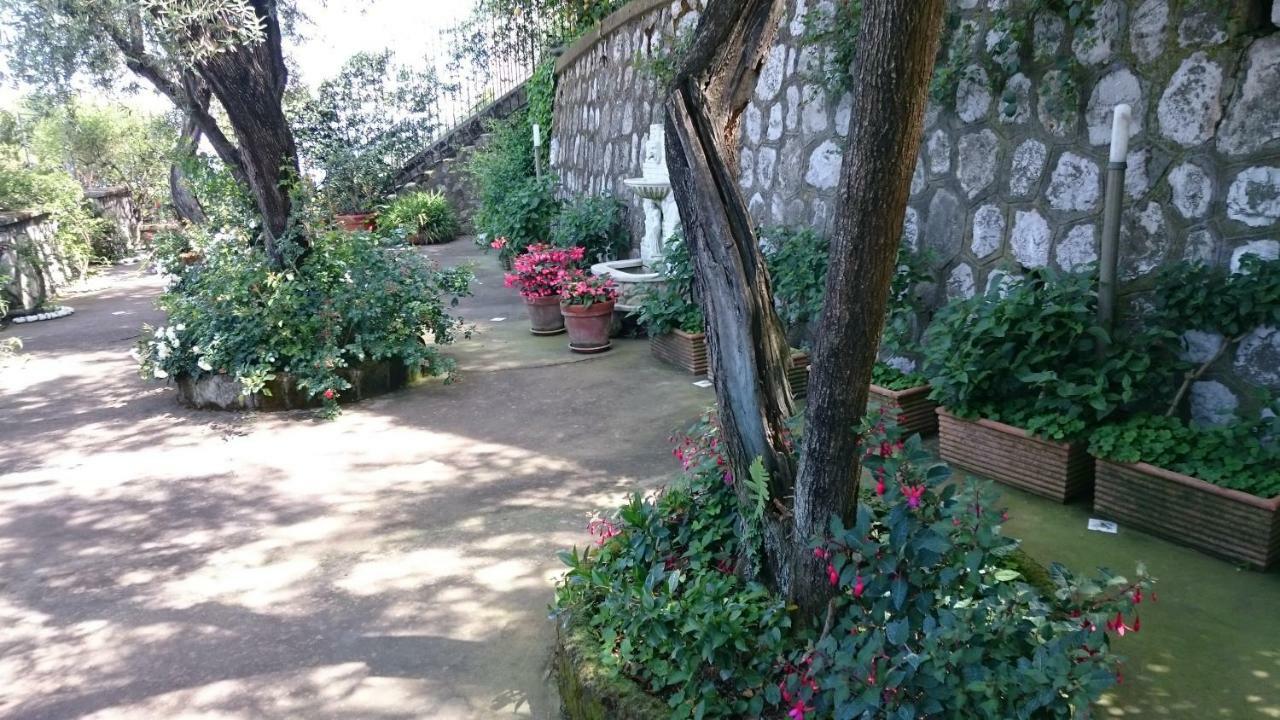 Villa L'Ulivina Península Sorrentina Exterior foto