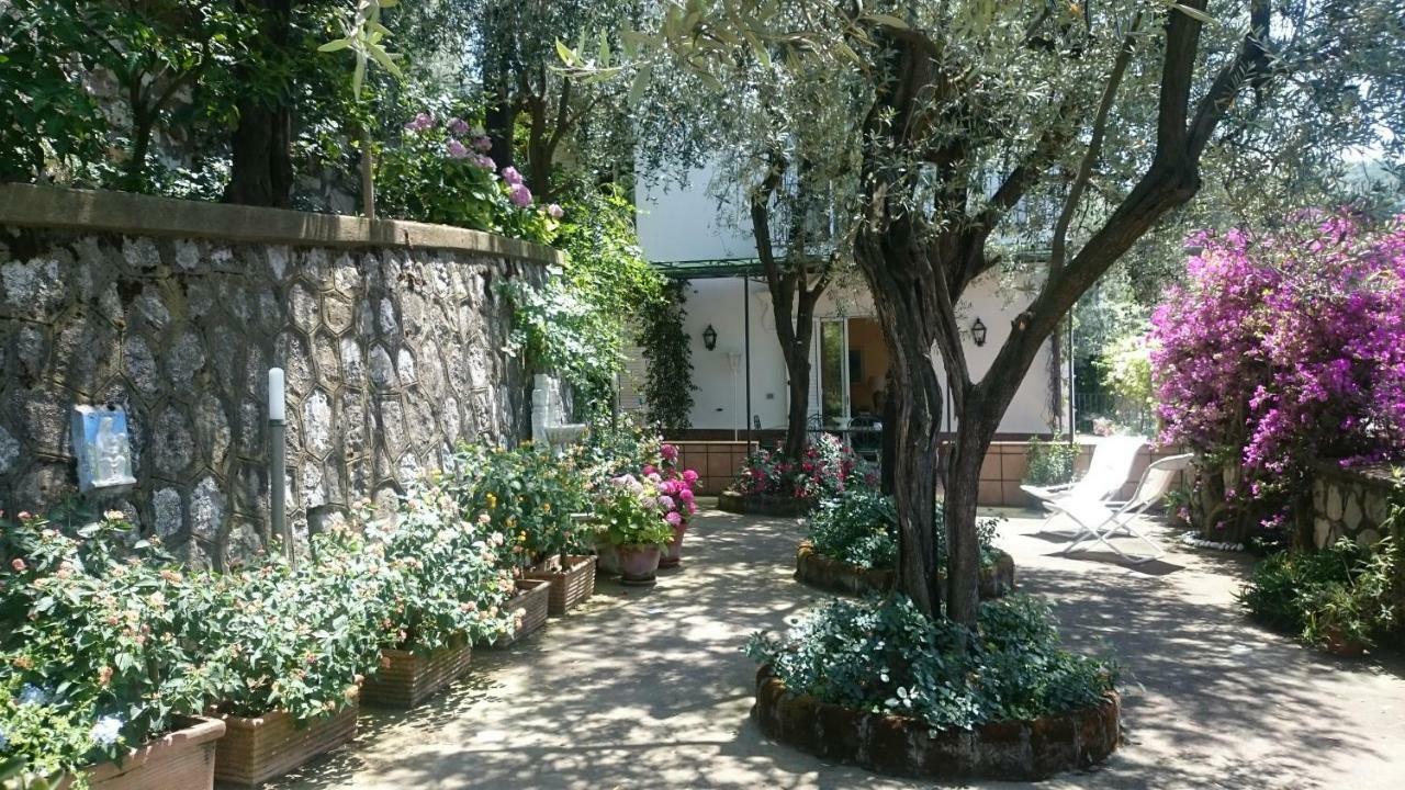 Villa L'Ulivina Península Sorrentina Exterior foto