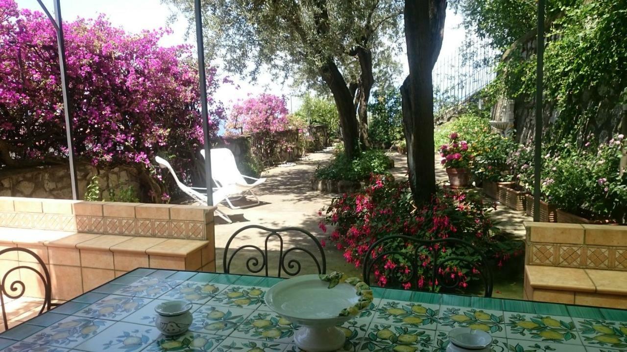 Villa L'Ulivina Península Sorrentina Exterior foto